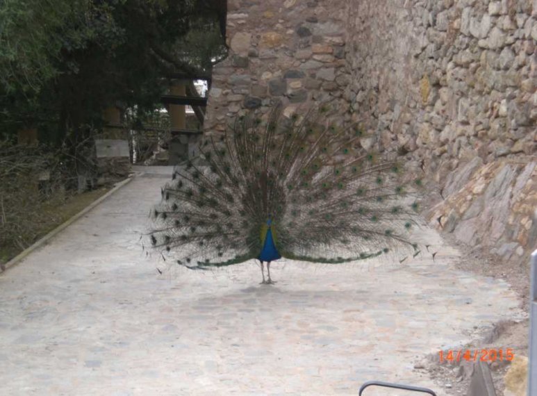 019_cartagena-erkundigung