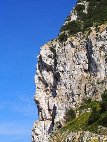 035_gibr-felsen