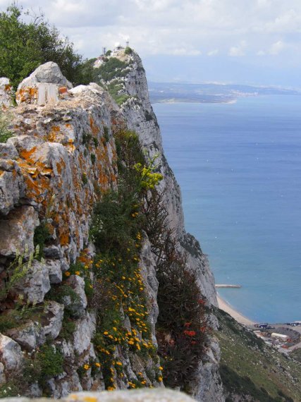 036_gibr-maurenb-botg-berg