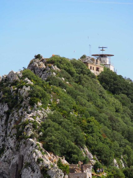 041_gibr-maurenb-botg-berg
