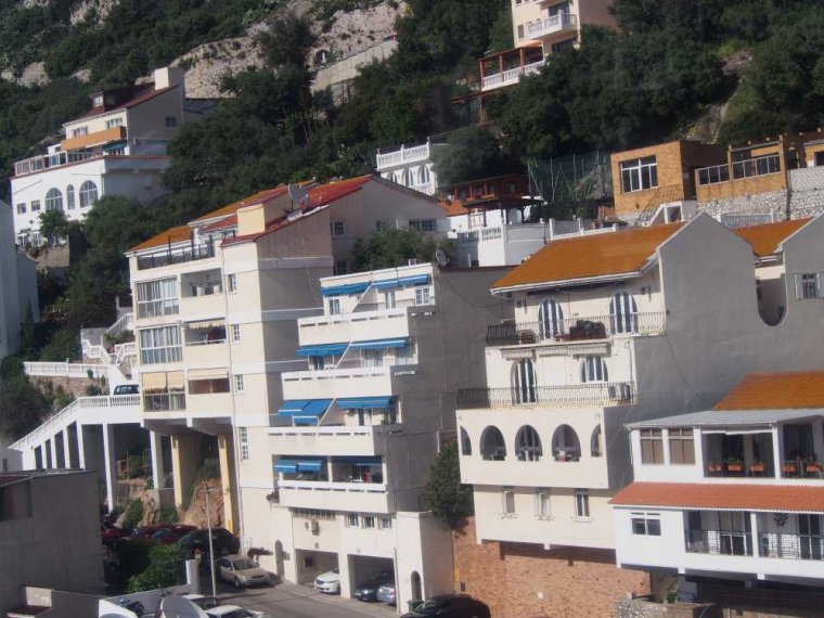 049_gibr-maurenb-botg-berg