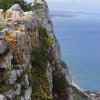 036_gibr-maurenb-botg-berg