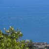 039_gibr-maurenb-botg-berg
