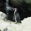 006-lissabon_ozeanarium