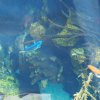 011-lissabon_ozeanarium