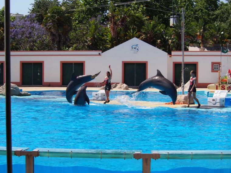 012-lisboa_zoo