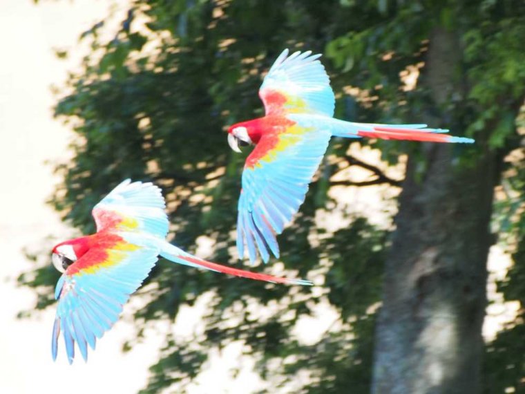 034-lisboa_zoo