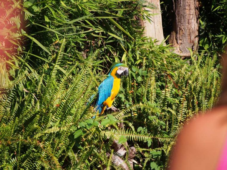 035-lisboa_zoo