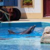 006-lisboa_zoo