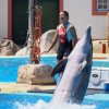 010-lisboa_zoo