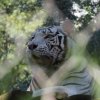 031-lisboa_zoo