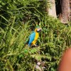 035-lisboa_zoo