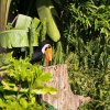 037-lisboa_zoo