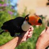 038-lisboa_zoo