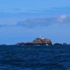 024_milford_haven_bis_peel