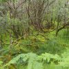 024_cairnbaan