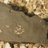 027_corpach-treasures_of_the_earth