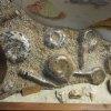034_corpach-treasures_of_the_earth