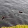 039_seaport_marina_inverness