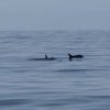 002_holyhead_weymouth