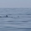 003_holyhead_weymouth
