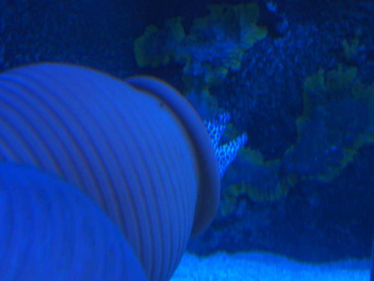 019_sealife_aquarium
