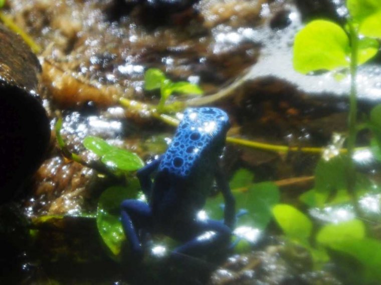 025_sealife_aquarium