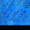 020_sealife_aquarium
