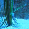 021_sealife_aquarium