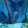 022_sealife_aquarium