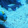 023_sealife_aquarium