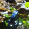 025_sealife_aquarium