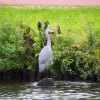 008_haarlem_alphen_aan_den_rijn